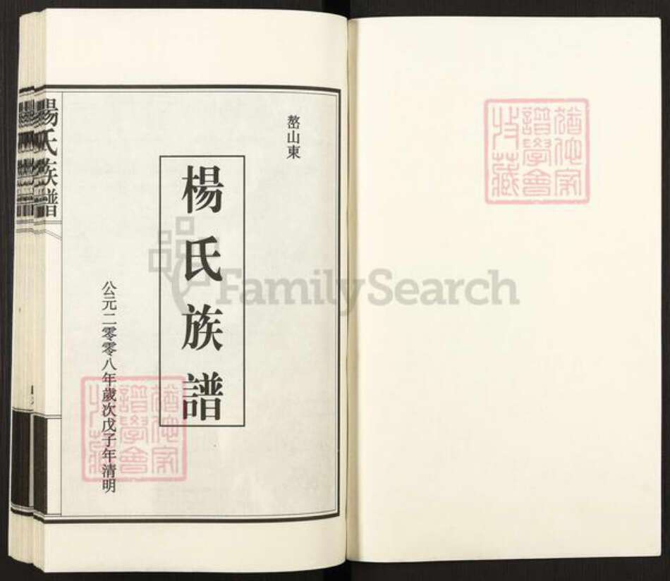 山东省泰安市新泰市汶南镇杨氏族谱-杨氏族谱.pdf电子版预览图1