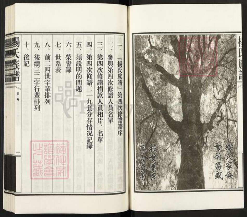 山东省泰安市新泰市汶南镇杨氏族谱-杨氏族谱.pdf电子版预览图2