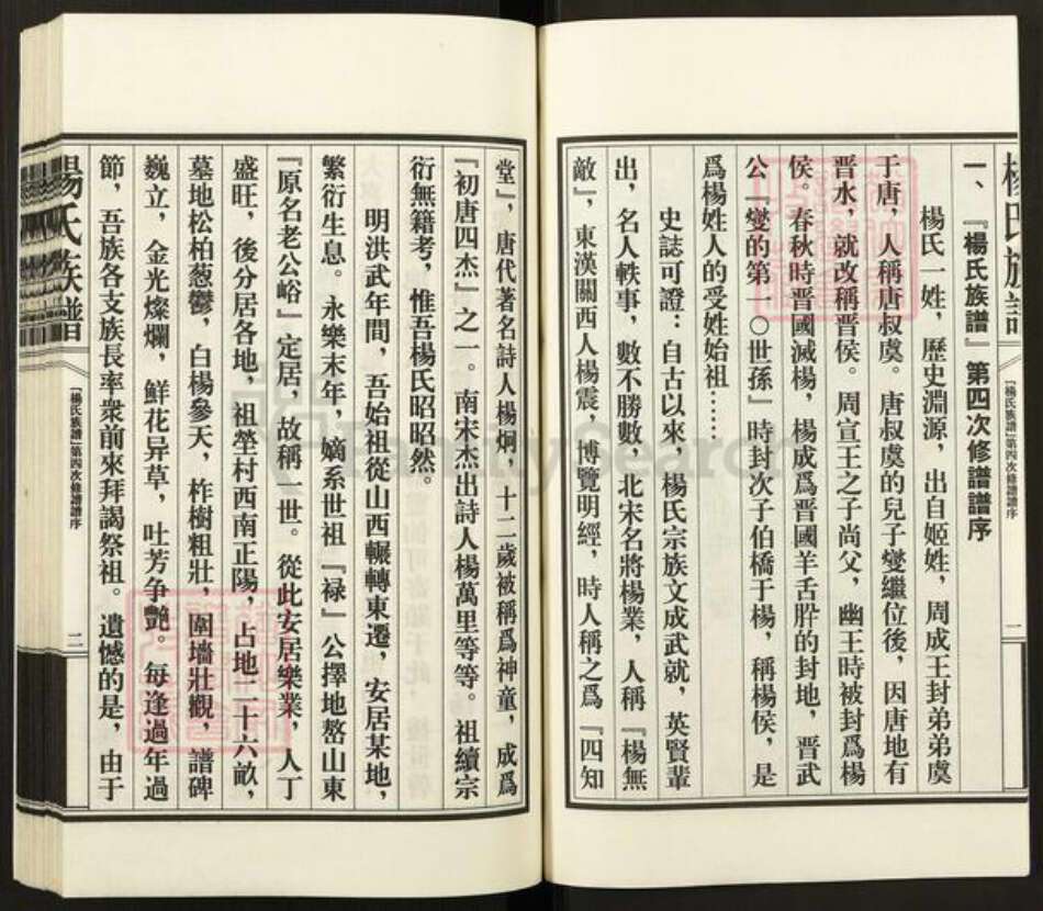 山东省泰安市新泰市汶南镇杨氏族谱-杨氏族谱.pdf电子版预览图3