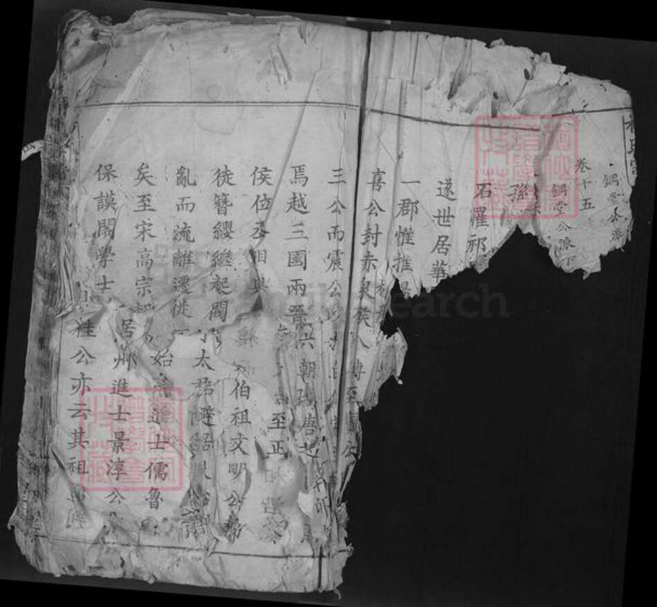 湖北省鄂州市鄂城区杨氏四知堂族谱-杨氏宗谱.pdf电子版预览图2