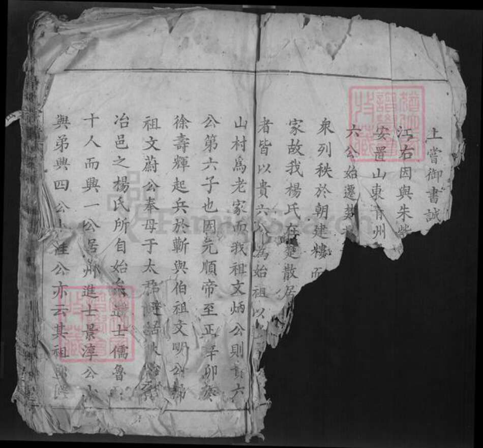 湖北省鄂州市鄂城区杨氏四知堂族谱-杨氏宗谱.pdf电子版预览图3