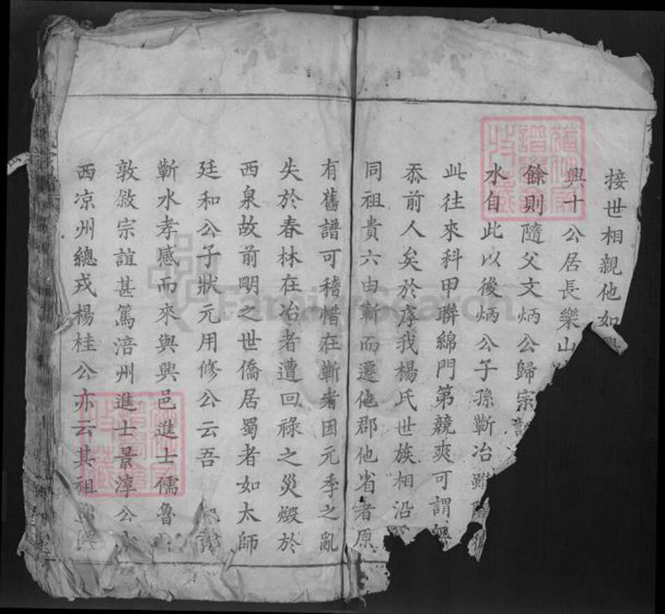 湖北省鄂州市鄂城区杨氏四知堂族谱-杨氏宗谱.pdf电子版预览图4