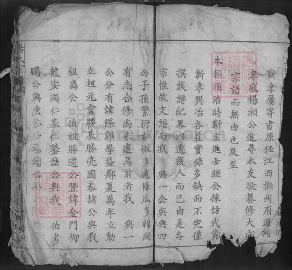 湖北省鄂州市鄂城区杨氏四知堂族谱-杨氏宗谱.pdf电子版预览图5