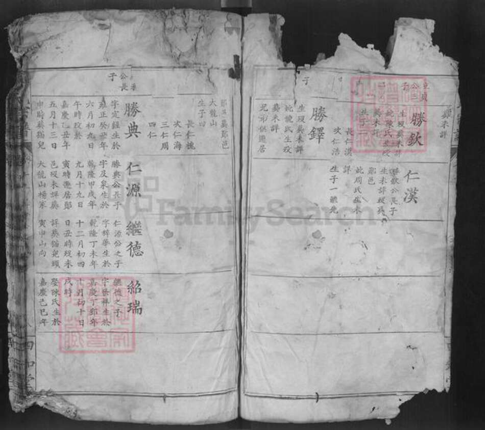 湖北省十堰市郧阳区杨氏四知堂族谱-杨氏宗谱.pdf电子版预览图2