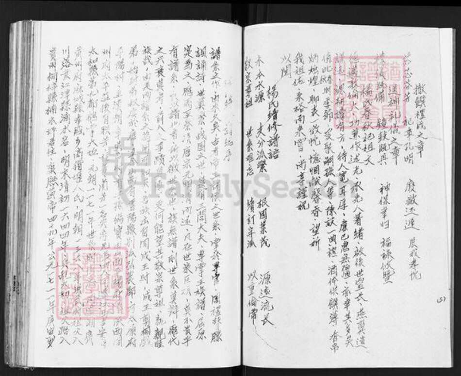 重庆市綦江区杨氏四知堂族谱-杨氏谱帙续编汇集.pdf电子版预览图4