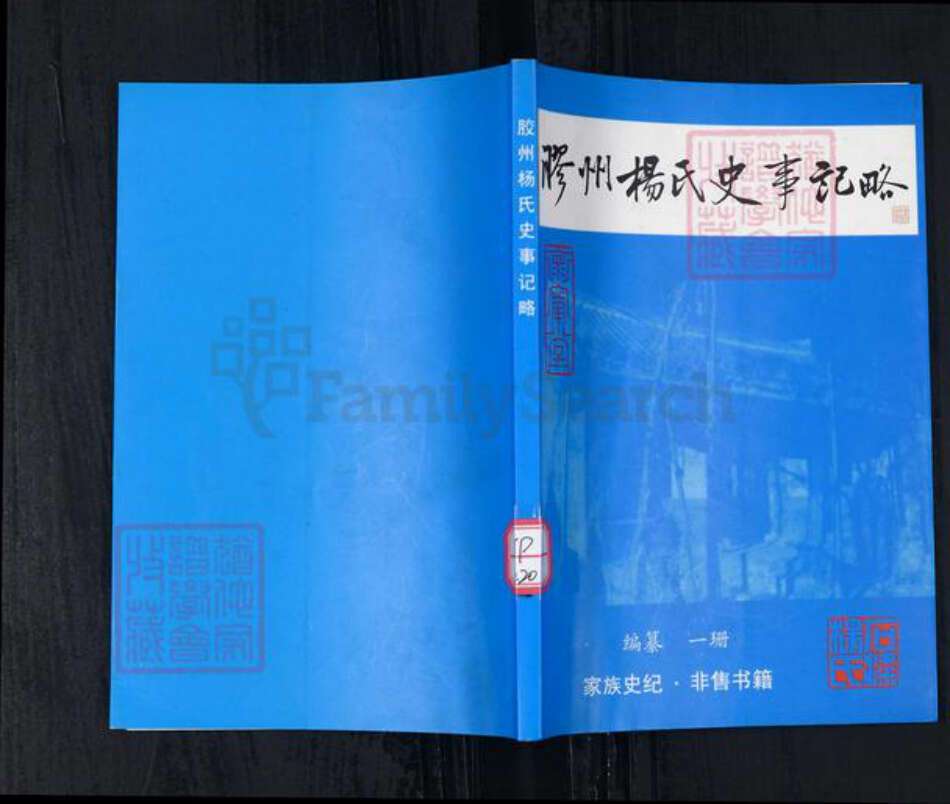 山东省青岛市胶州市杨氏族谱-胶州杨氏史事记略.pdf电子版缩略图