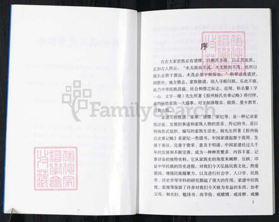 山东省青岛市胶州市杨氏族谱-胶州杨氏史事记略.pdf电子版预览图2