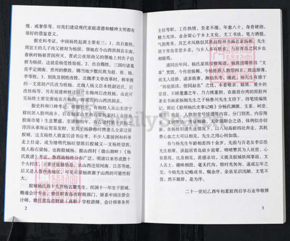 山东省青岛市胶州市杨氏族谱-胶州杨氏史事记略.pdf电子版预览图3