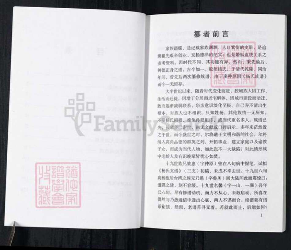 山东省青岛市胶州市杨氏族谱-胶州杨氏史事记略.pdf电子版预览图5