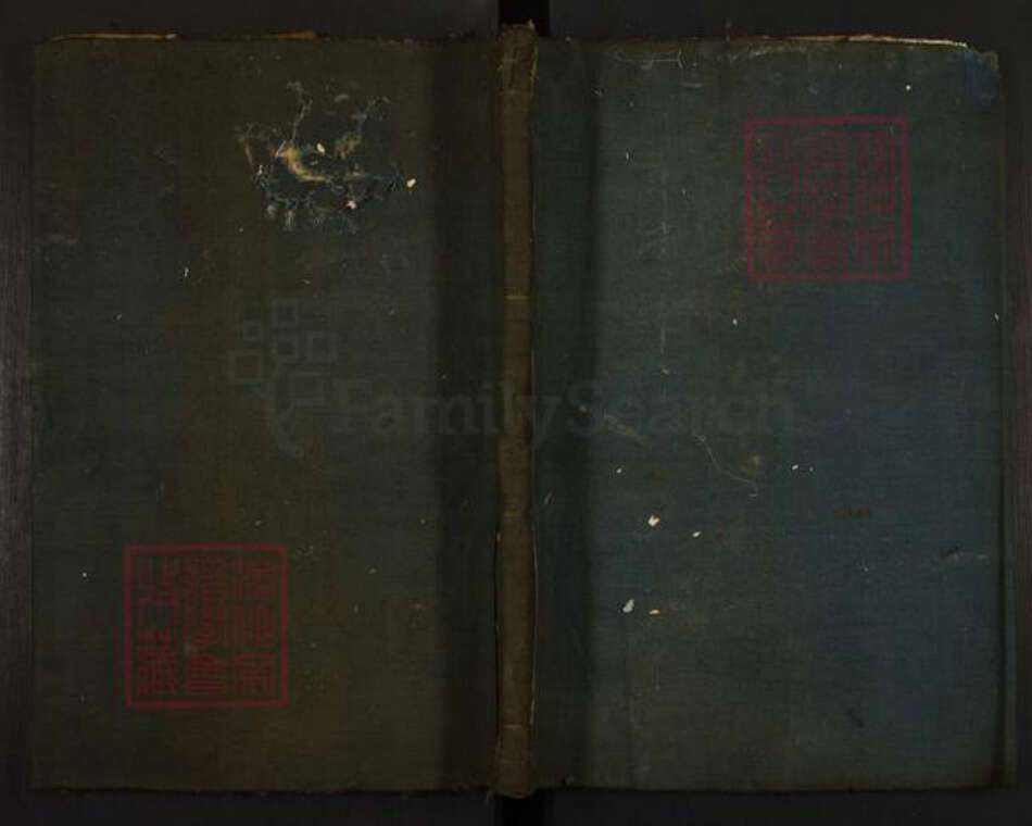 浙江省杭州市桐庐县县江南镇杨氏族谱-杨氏宗谱.pdf电子版缩略图