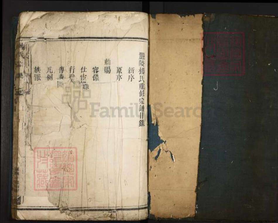 浙江省杭州市桐庐县县江南镇杨氏族谱-杨氏宗谱.pdf电子版预览图1