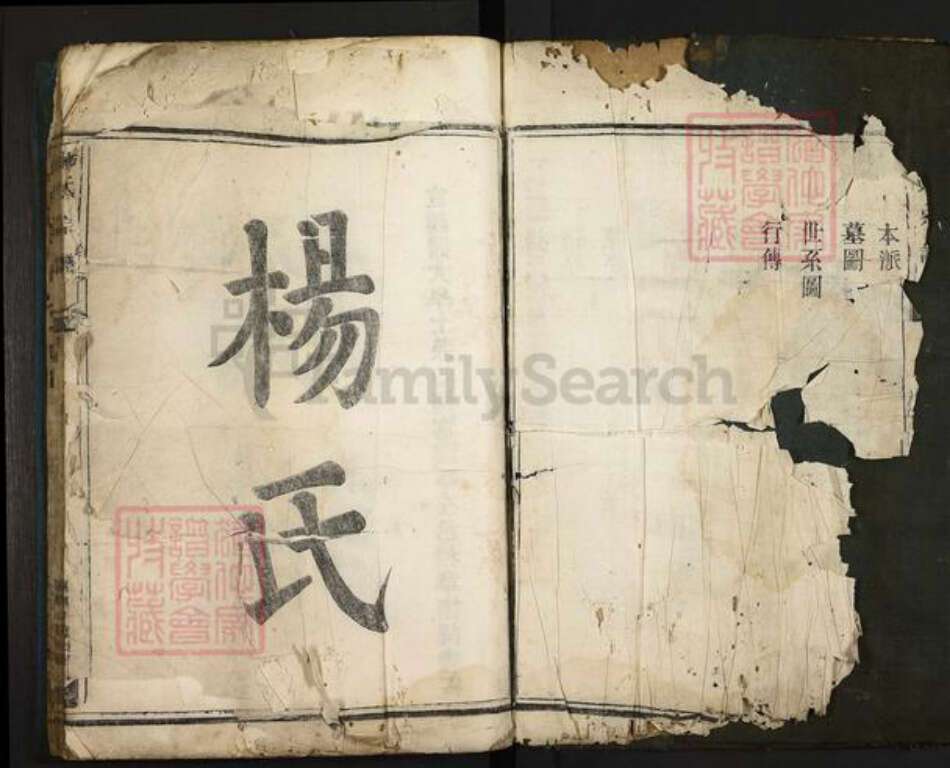 浙江省杭州市桐庐县县江南镇杨氏族谱-杨氏宗谱.pdf电子版预览图2