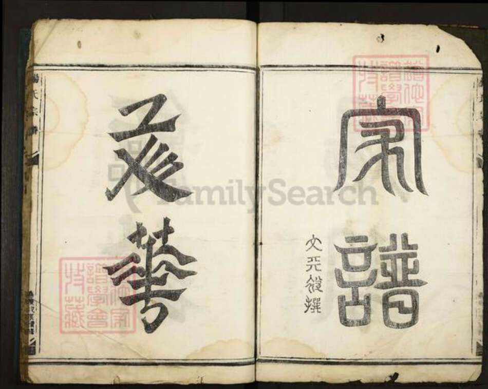 浙江省杭州市桐庐县县江南镇杨氏族谱-杨氏宗谱.pdf电子版预览图4