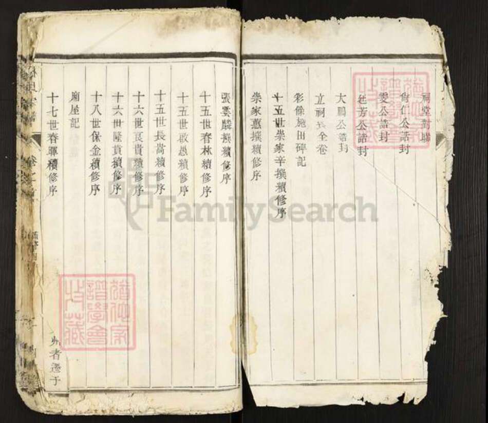 江苏省扬州市高邮市杨氏四知堂族谱-杨氏宗谱.pdf电子版预览图1