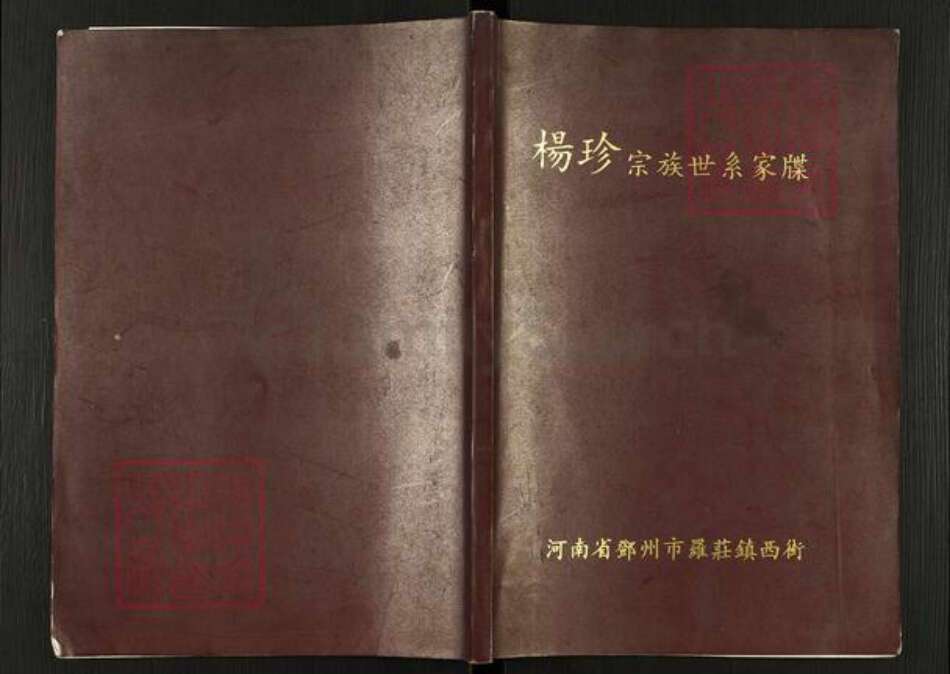 河南省南阳市邓州市罗庄镇杨氏族谱-杨珍宗族世系家牒.pdf电子版缩略图