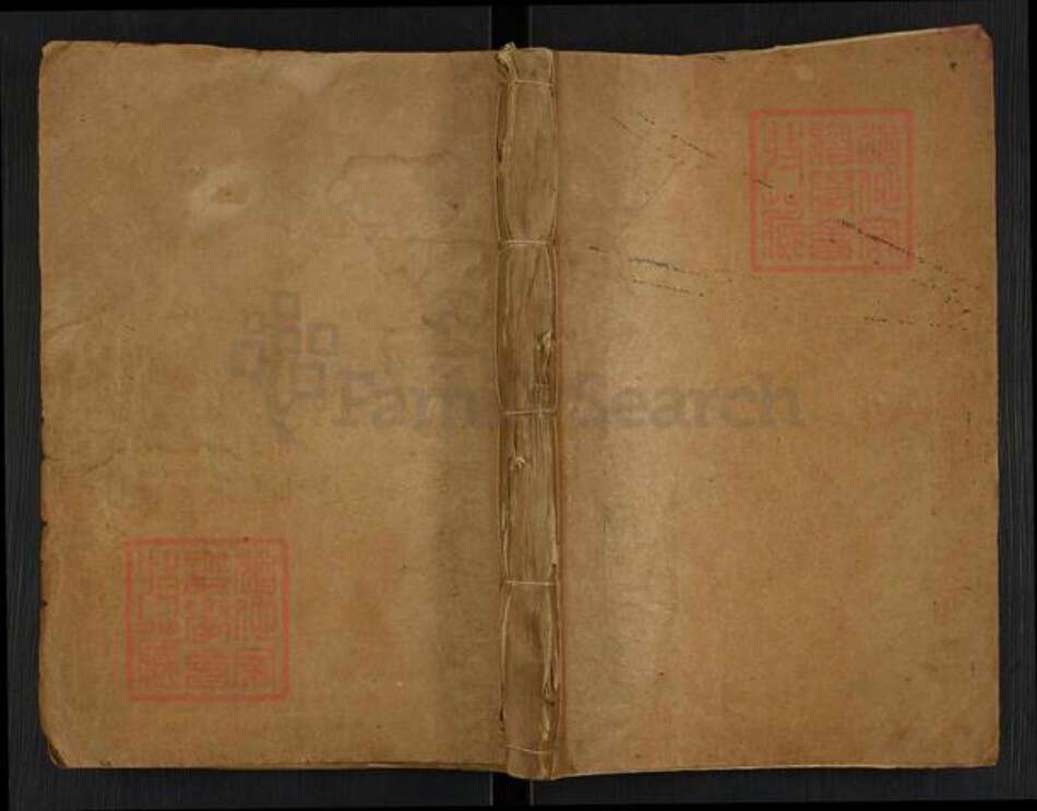 江苏省扬州市高邮市界首镇杨氏四知堂族谱-杨氏宗谱.pdf电子版缩略图