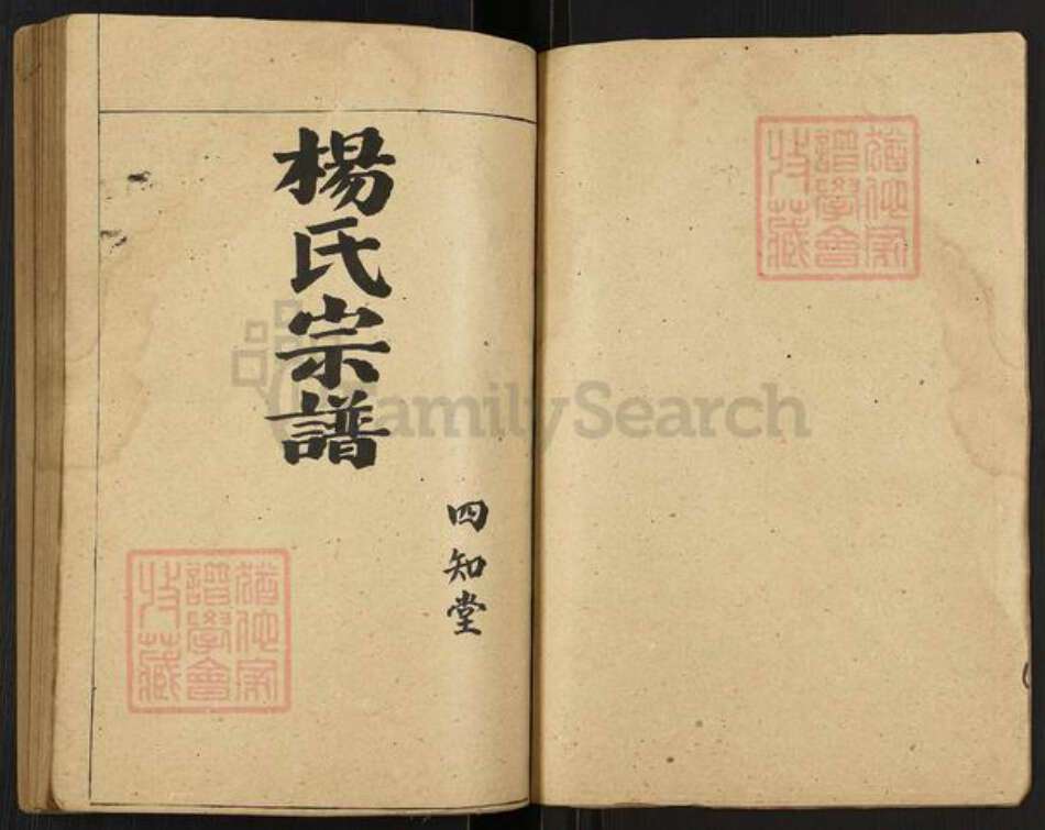 江苏省扬州市高邮市界首镇杨氏四知堂族谱-杨氏宗谱.pdf电子版预览图1