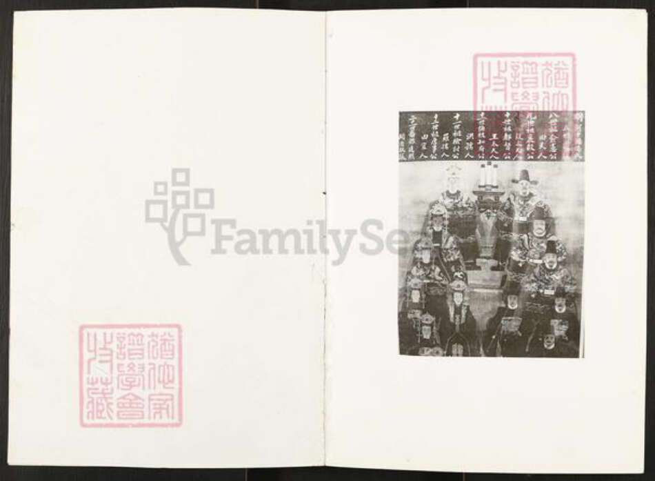 山西省运城市永济市杨氏族谱-河中饧杨氏文化.pdf电子版预览图1