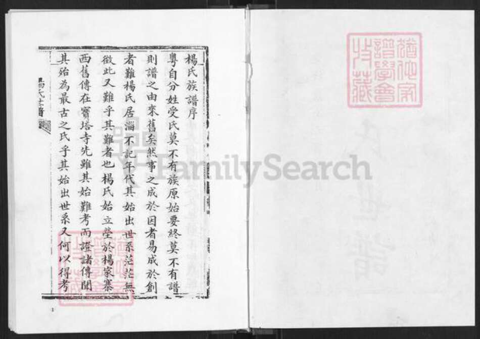 山东省淄博市淄川区杨氏族谱-杨氏世谱.pdf电子版预览图1