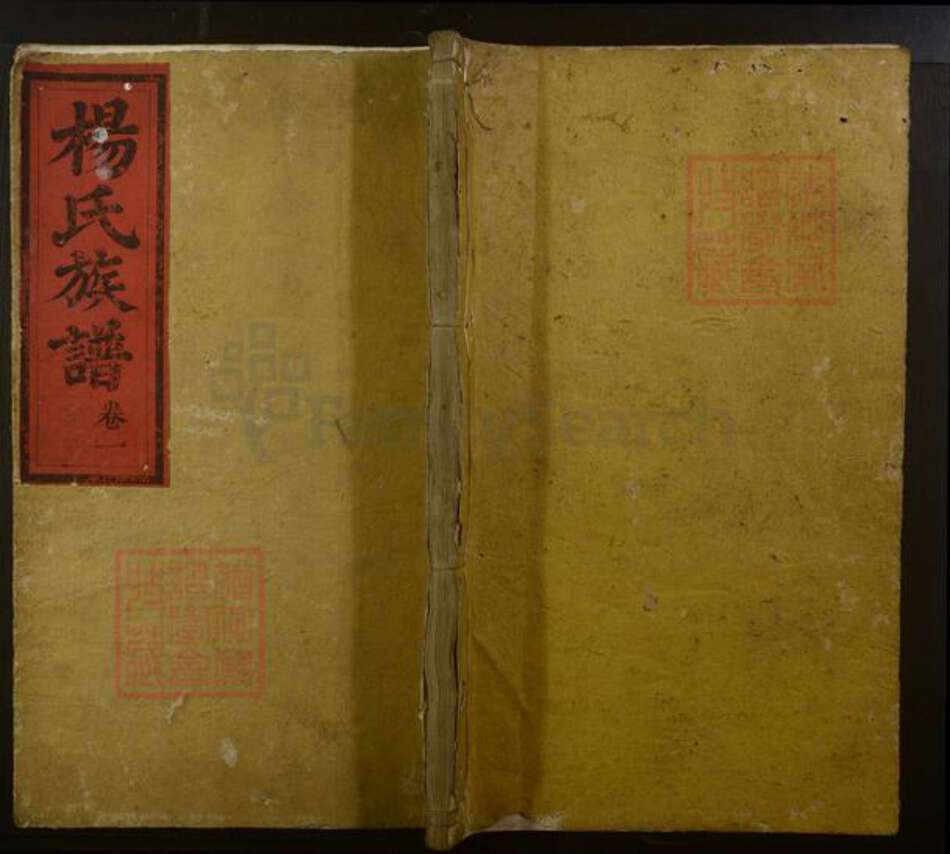 湖南省怀化市会同县杨氏族谱-杨氏族谱.pdf电子版缩略图