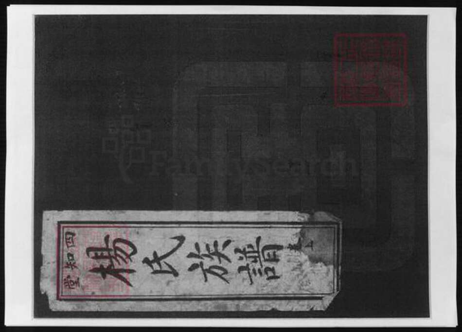 河南省信阳市杨氏族谱-杨氏族谱.pdf电子版缩略图