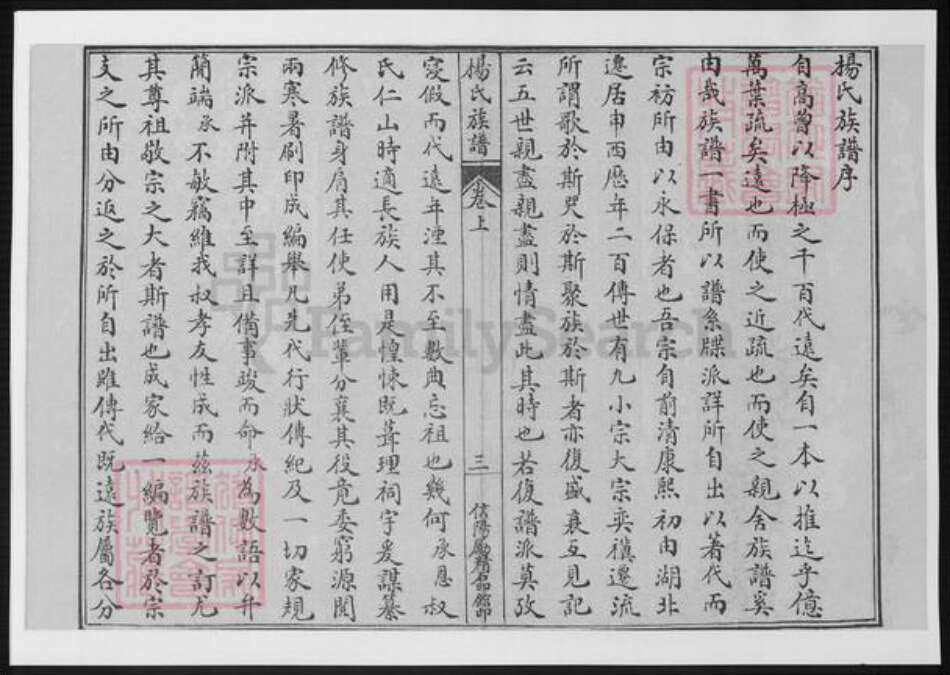 河南省信阳市杨氏族谱-杨氏族谱.pdf电子版预览图5