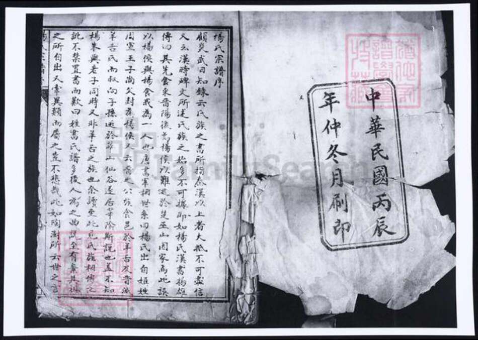 河南省洛阳市杨氏族谱-杨氏宗谱.pdf电子版预览图1