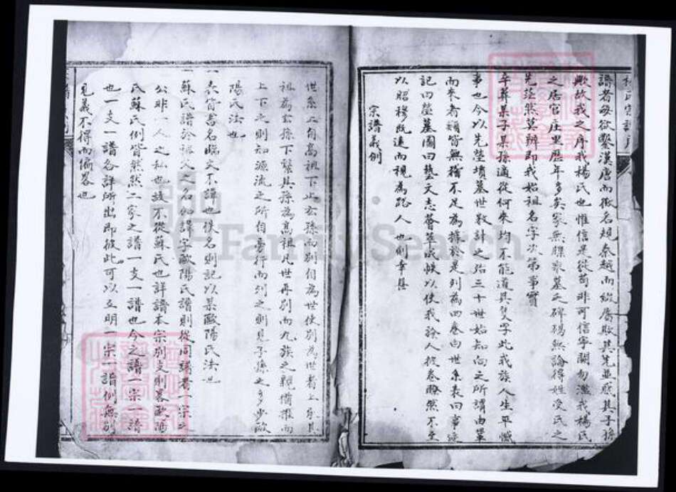 河南省洛阳市杨氏族谱-杨氏宗谱.pdf电子版预览图2