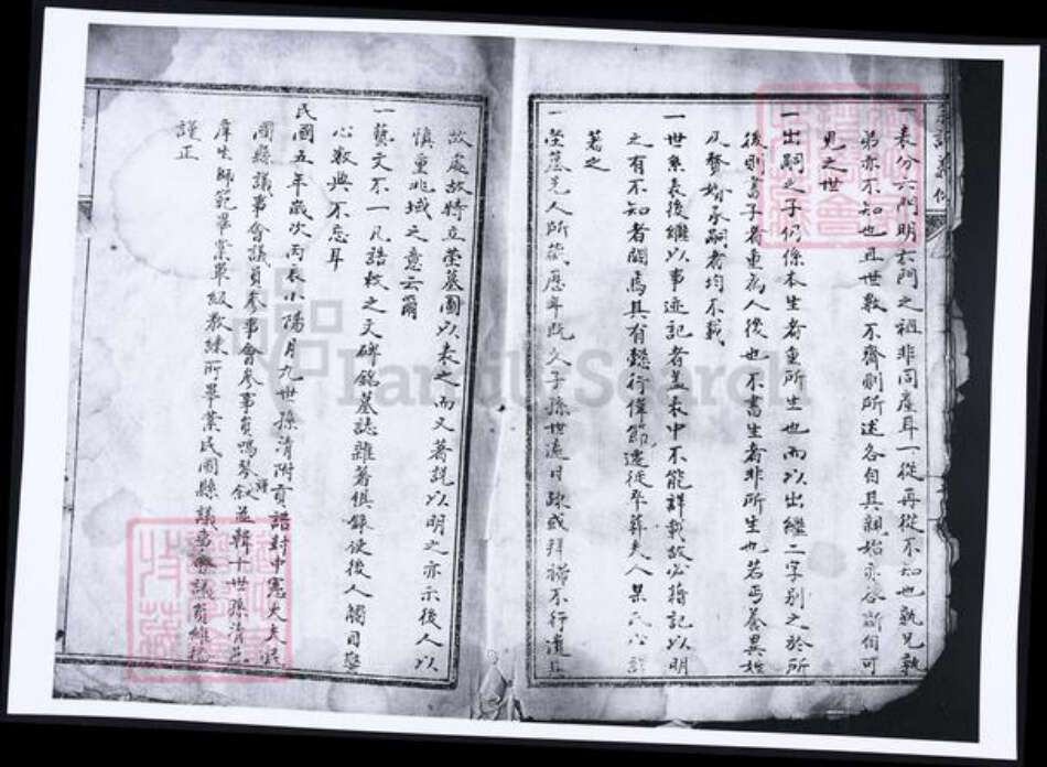 河南省洛阳市杨氏族谱-杨氏宗谱.pdf电子版预览图3