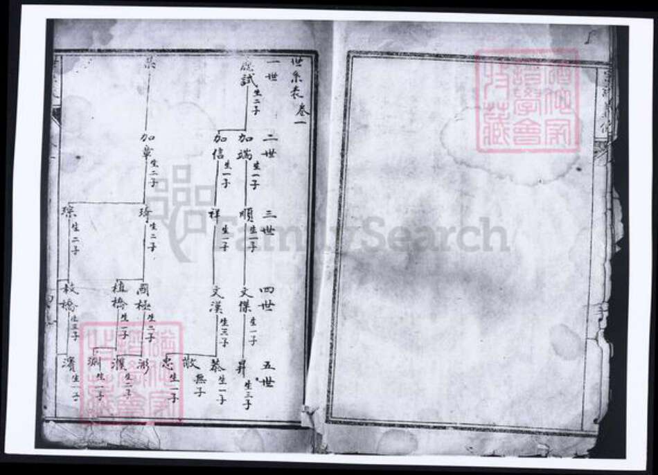 河南省洛阳市杨氏族谱-杨氏宗谱.pdf电子版预览图4