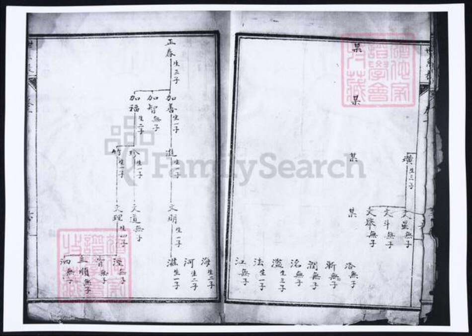 河南省洛阳市杨氏族谱-杨氏宗谱.pdf电子版预览图5