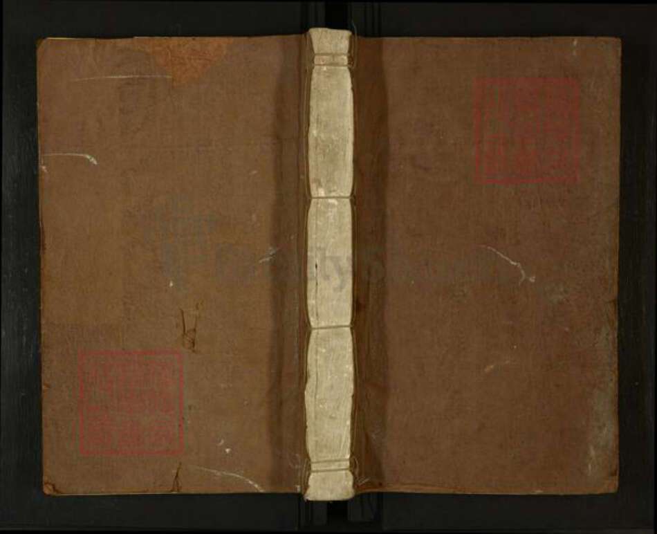 浙江省温州市瑞安市瑞安杨氏族谱-杨氏族谱.pdf电子版缩略图