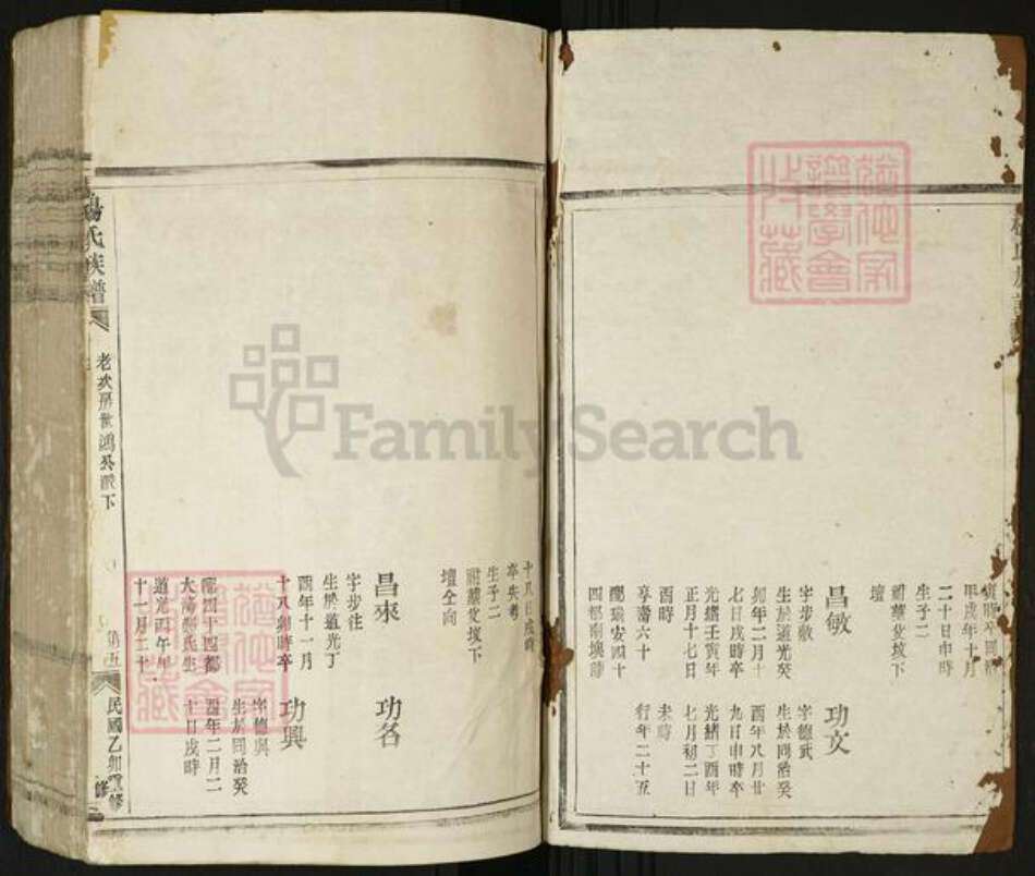 浙江省温州市瑞安市瑞安杨氏族谱-杨氏族谱.pdf电子版预览图1