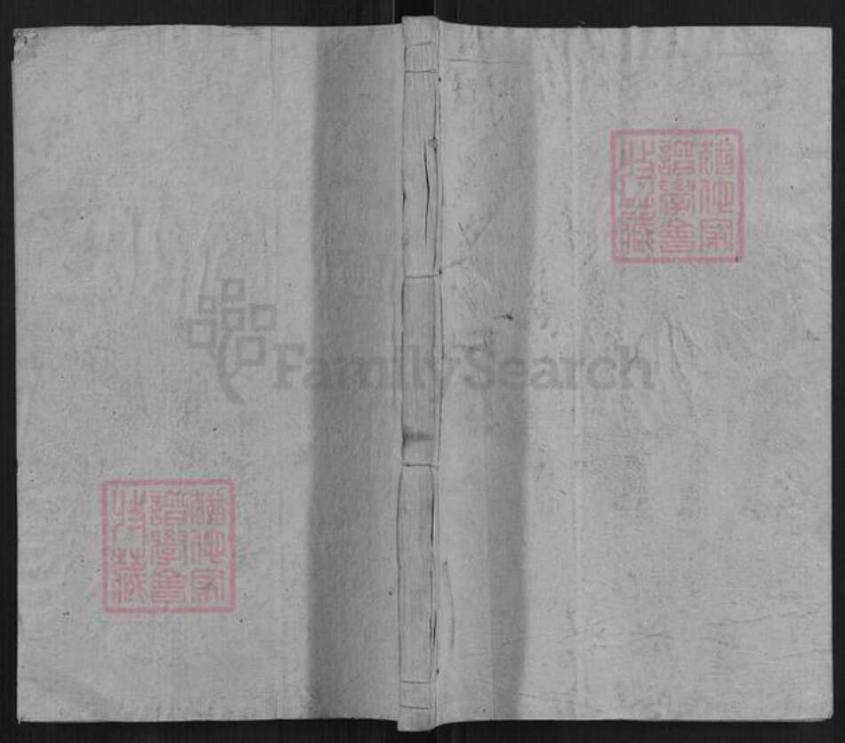 湖南省娄底市新化县杨氏族谱-新化杨氏族谱.pdf电子版缩略图