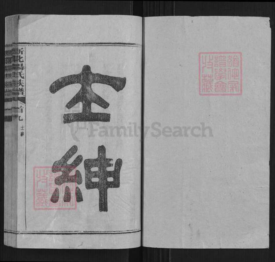 湖南省娄底市新化县杨氏族谱-新化杨氏族谱.pdf电子版预览图1