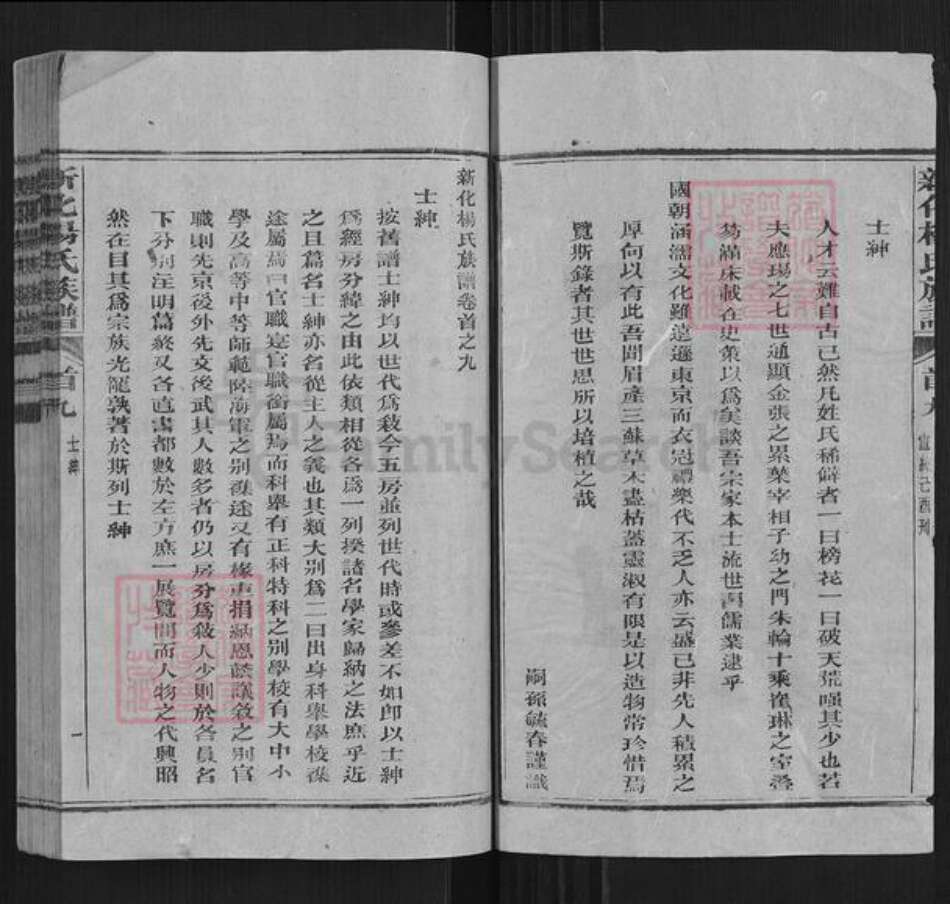 湖南省娄底市新化县杨氏族谱-新化杨氏族谱.pdf电子版预览图2