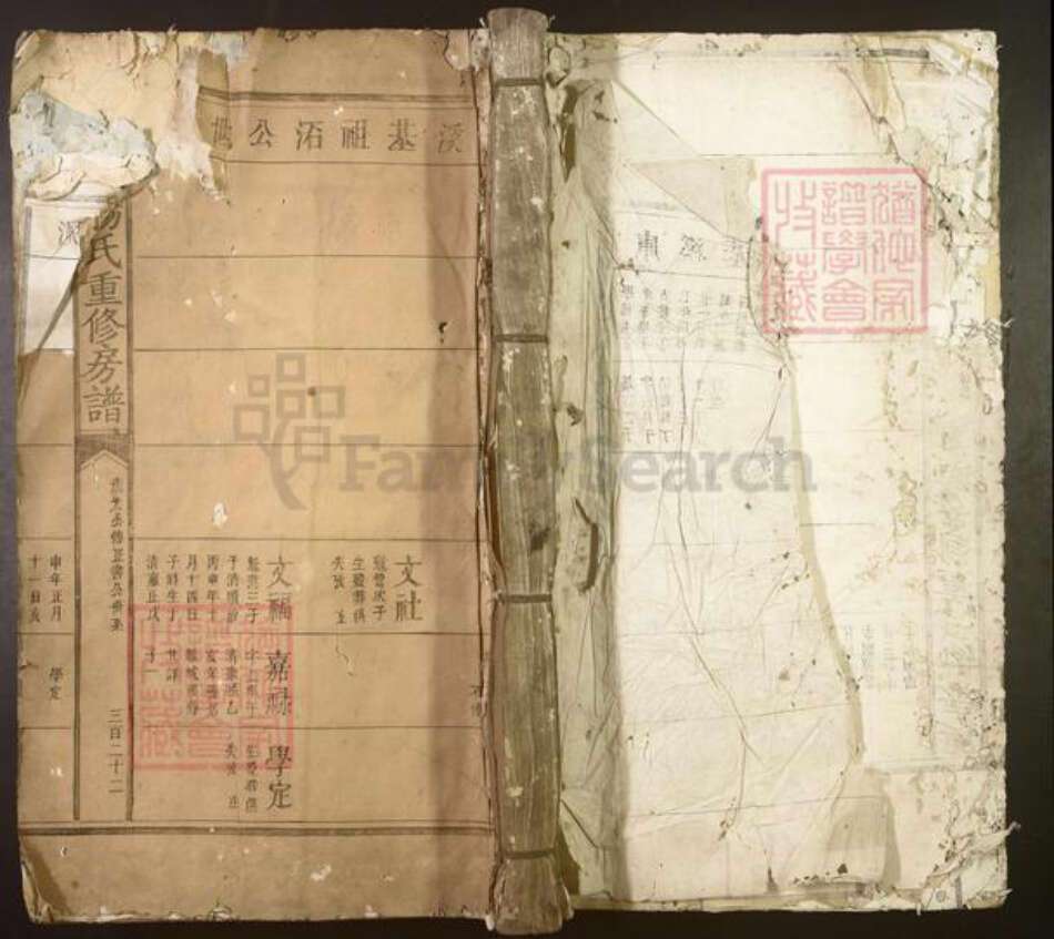 江西省吉安市泰和市杨氏族谱-兴泰杨氏重修房谱[不分卷].pdf电子版缩略图