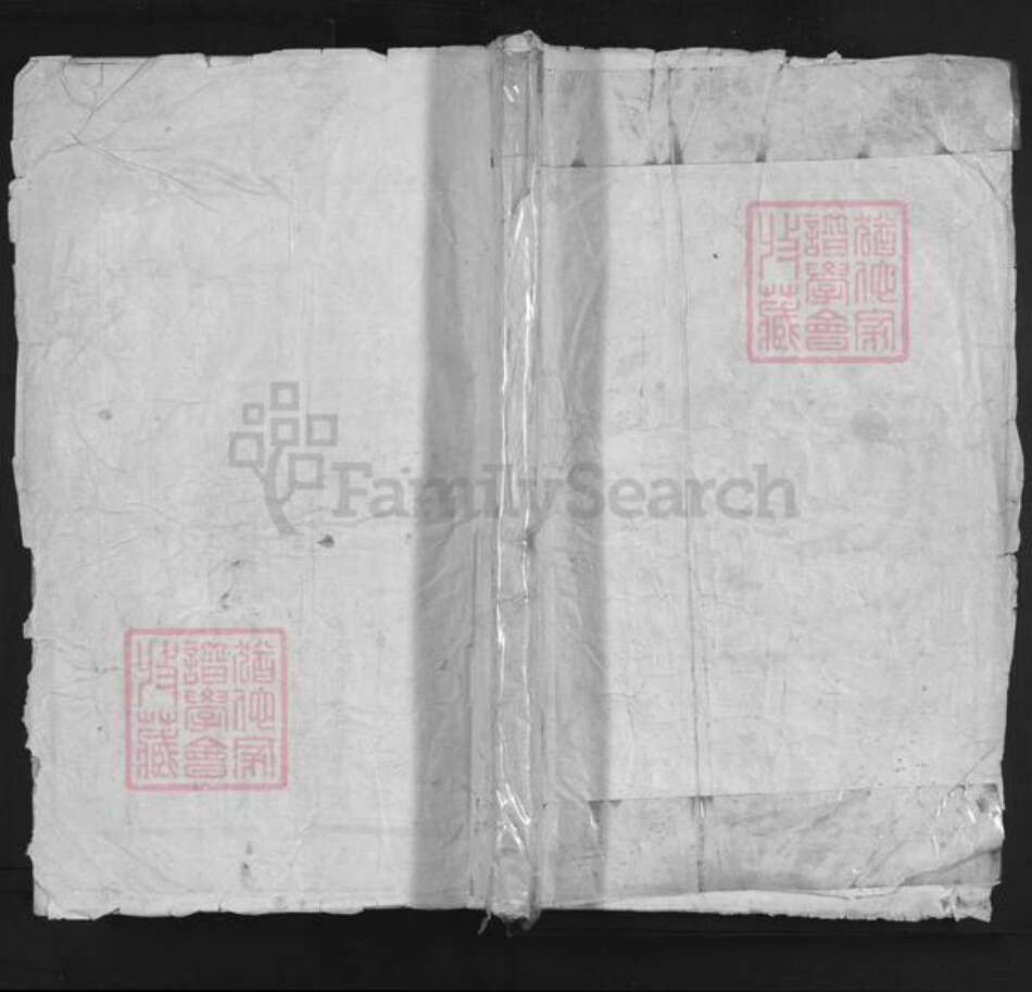 浙江省湖州吴兴区姚氏族谱-吴兴姚氏宗谱.pdf电子版缩略图