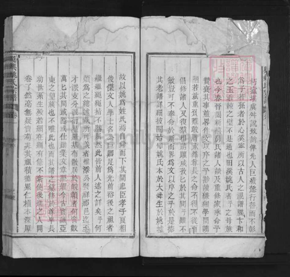 浙江省湖州吴兴区姚氏族谱-吴兴姚氏宗谱.pdf电子版预览图2