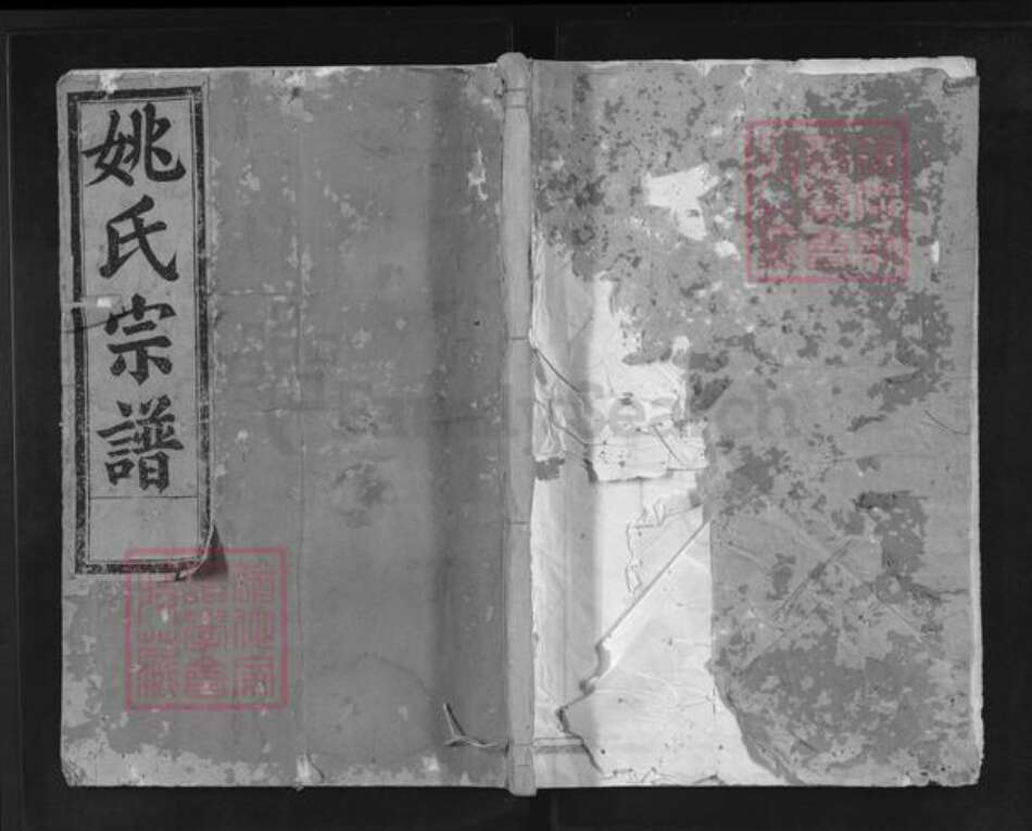 浙江省金华市兰溪市姚氏族谱-吴兴郡姚氏宗谱.pdf电子版缩略图