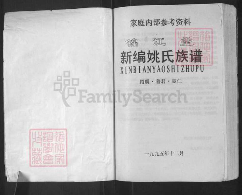 湖南省常德市桃源县姚氏锦江堂族谱-新编姚氏族谱.pdf电子版预览图1