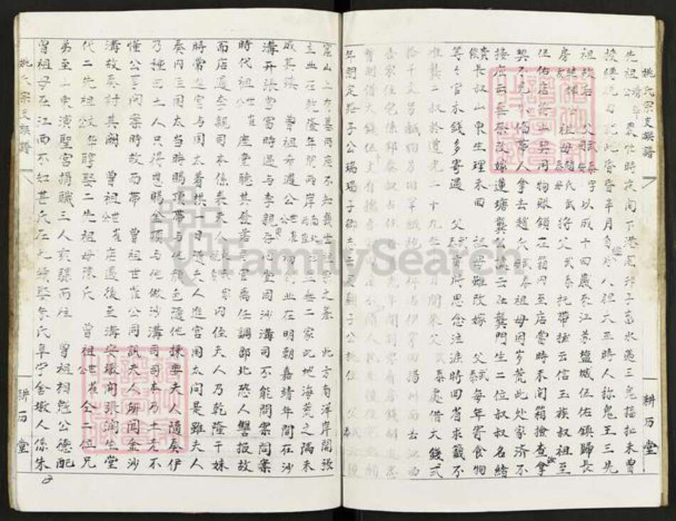 江西省宜春市宜丰县新庄镇姚氏耕历堂族谱-南昌盐城姚氏宗支族谱.pdf电子版预览图2