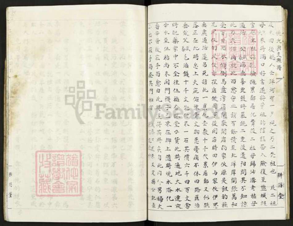 江西省宜春市宜丰县新庄镇姚氏耕历堂族谱-南昌盐城姚氏宗支族谱.pdf电子版预览图4