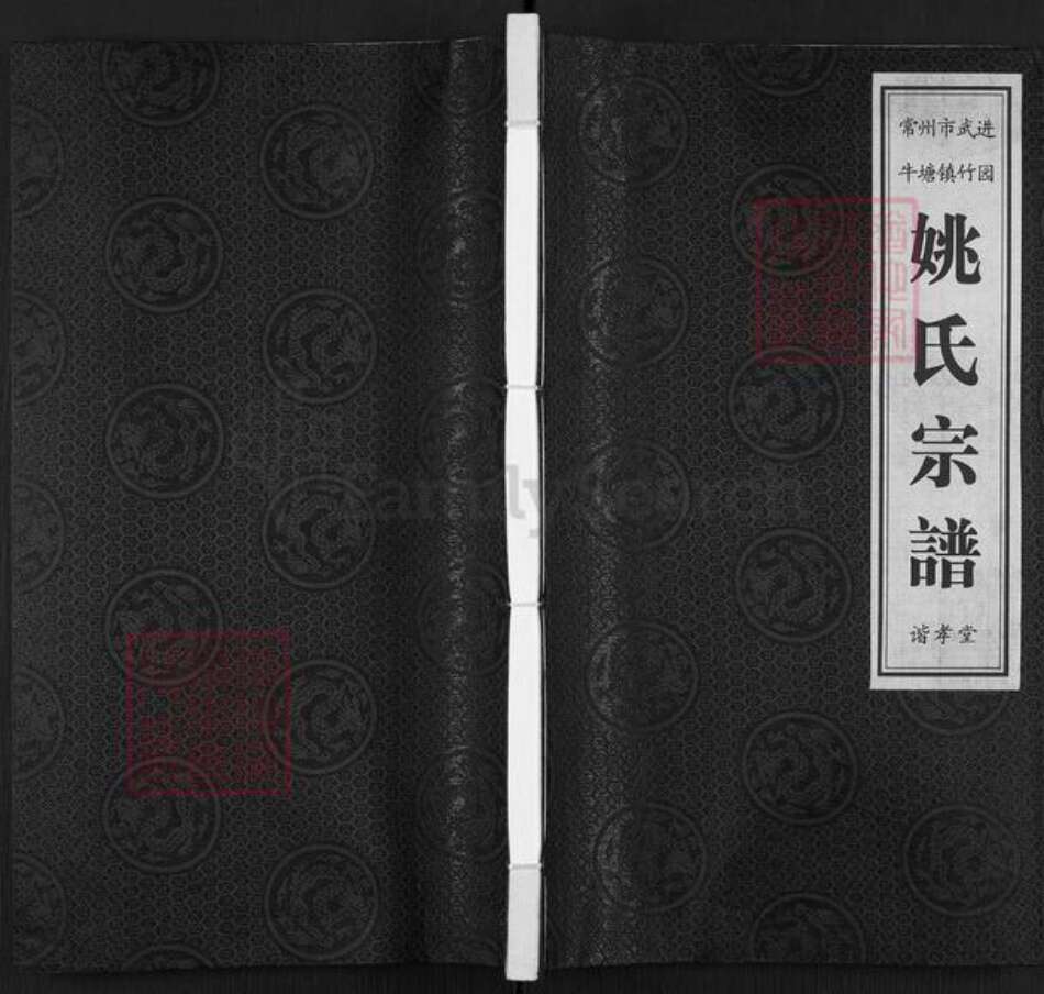 江苏省常州市武进县牛塘镇姚氏谐孝堂族谱-姚氏宗谱.pdf电子版缩略图