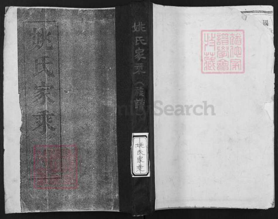 江苏省扬州市江都区姚氏积贤堂族谱-姚氏族谱.pdf电子版缩略图