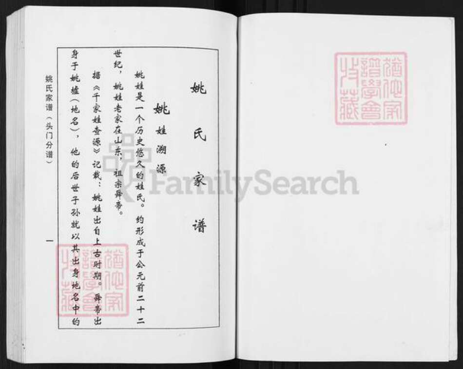 江苏省盐城市盐都区秦南镇姚氏耕历堂族谱-姚氏家谱.头门分谱.pdf电子版预览图2