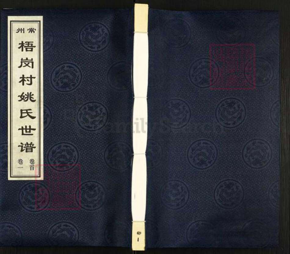 江苏省常州市天宁区郑陆镇姚氏孝思堂族谱-常州梧岗村姚氏世谱.pdf电子版缩略图