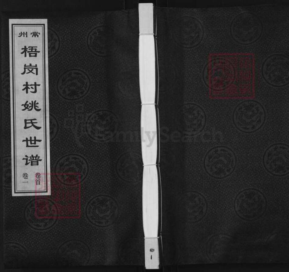 江苏省常州市天宁区郑陆镇姚氏孝思堂族谱-常州梧岗村姚氏世谱.pdf电子版缩略图