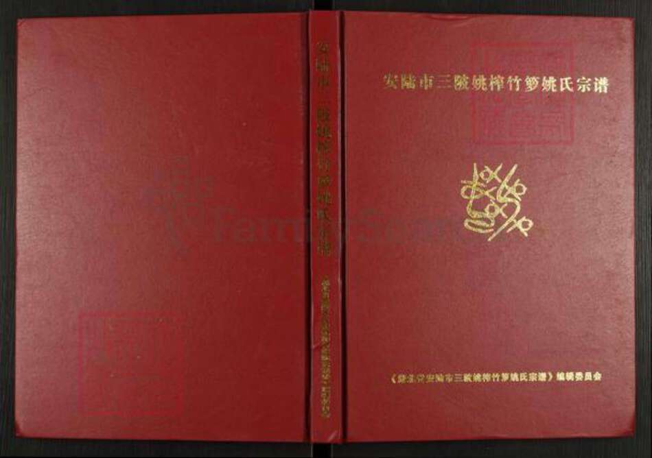 湖北省孝感市安陆市洑水镇姚氏族谱-安陆市三陂姚榨竹箩姚氏宗谱.pdf电子版缩略图