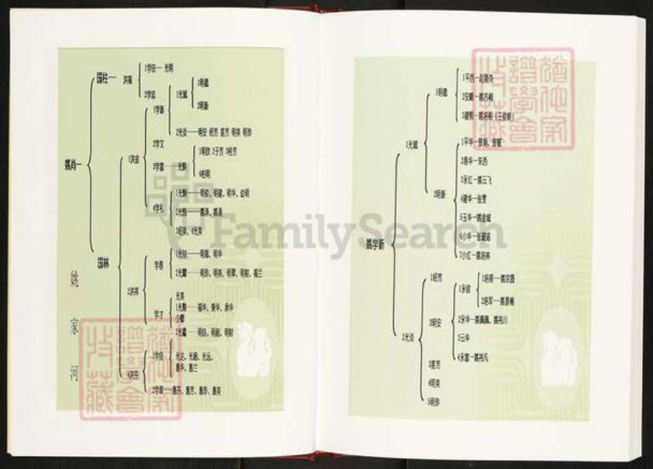 湖北省孝感市安陆市洑水镇姚氏族谱-安陆市三陂姚榨竹箩姚氏宗谱.pdf电子版预览图5